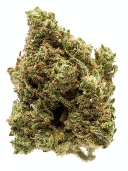 Blue Cheese